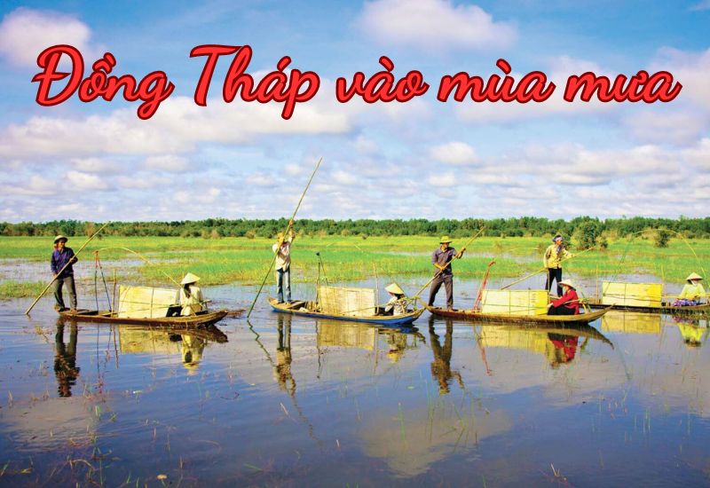 Tổng quan về đặc điểm khí hậu Đồng Tháp 12 tháng trong năm