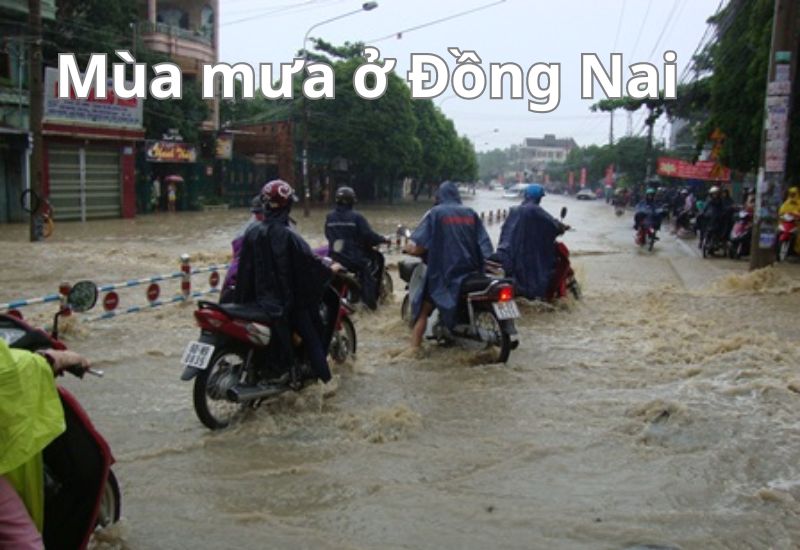 Đánh giá tổng quan khí hậu Đồng Nai với những đặc trưng cơ bản trong 12 tháng